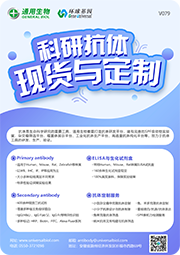 科研抗体