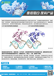 重组蛋白现货产品